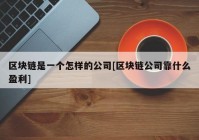 区块链是一个怎样的公司[区块链公司靠什么盈利]